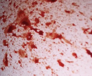 ForensicFX Studios Blood Splatter Spray> Halloween Accessories