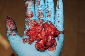 ForensicFX Studios Brain Tissue Specimen Gift Kit> Halloween Accessories
