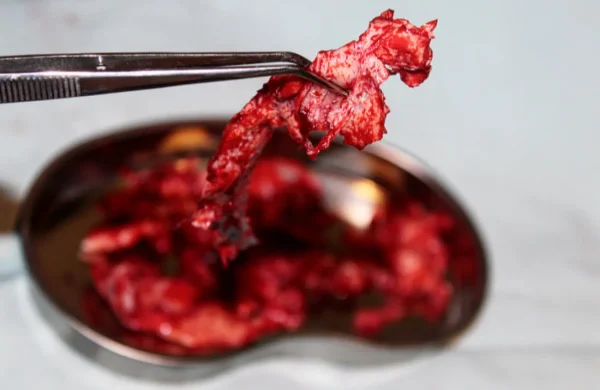 ForensicFX Studios Brain Tissue Specimen Gift Kit> Halloween Accessories
