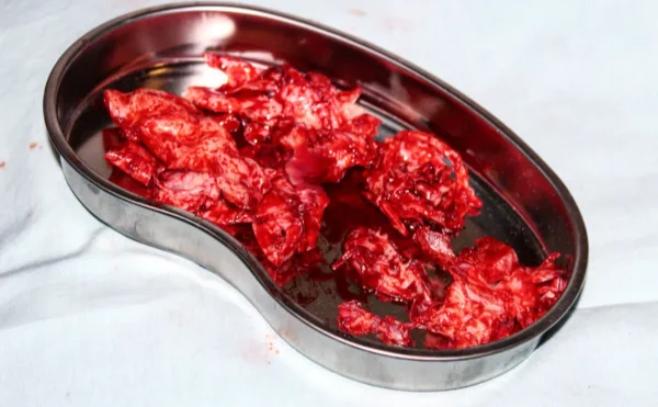 ForensicFX Studios Brain Tissue Specimen Gift Kit> Halloween Accessories