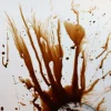 ForensicFX Studios Brown Zombie Blood> Halloween Accessories
