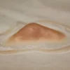 ForensicFX Studios Bruised Broken Nose With Cut Prosthetic> Halloween Accessories