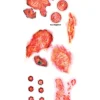 Tinsley Transfers Burned Alive Fx Temporary Tattoo> Halloween Accessories