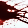 ForensicFX Studios Dark Aged Blood> Halloween Accessories