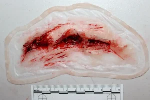 ForensicFX Studios Deep Neck Wound Prosthetic> Halloween Accessories