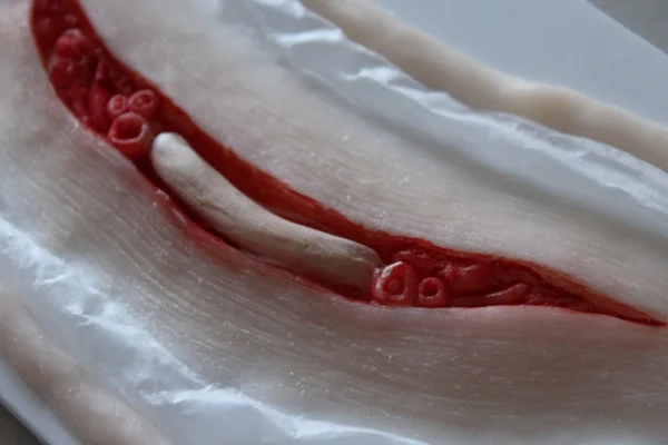 ForensicFX Studios Exposed Slit Throat Prosthetic> Halloween Accessories