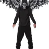 California Costumes Fallen Angel Mask And Wings> Halloween Accessories