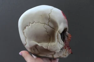 ForensicFX Studios Horror Skull With Bloody Hand Print> Halloween Accessories