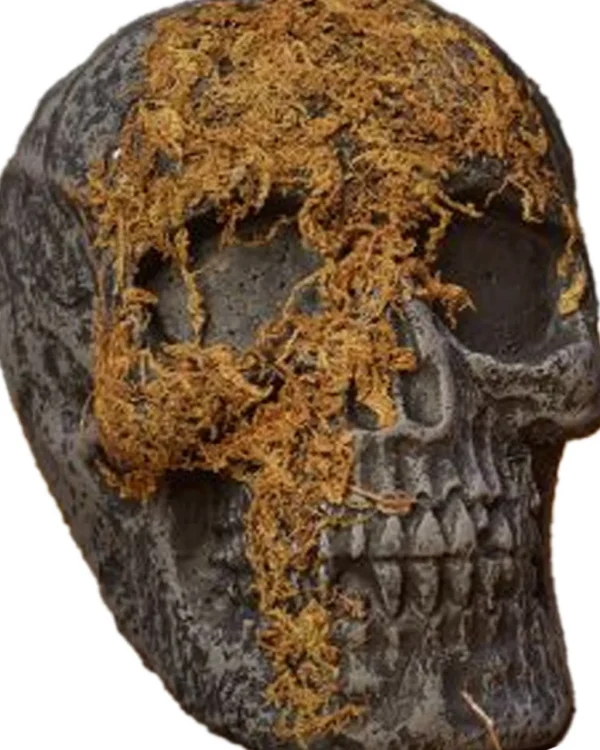 Fun World Jaw Moss Covered Skull> Scary Skeletons