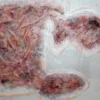 ForensicFX Studios Large Torso Skin Burn Prosthetic> Halloween Accessories