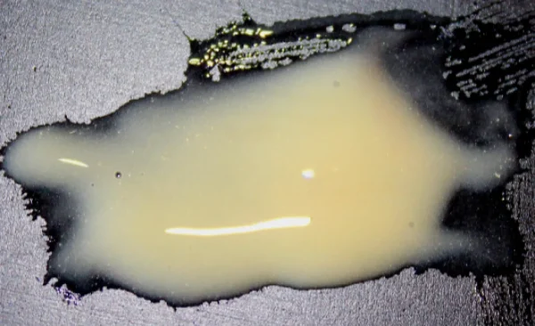 ForensicFX Studios Pus Makeup Effect Gel> Halloween Accessories