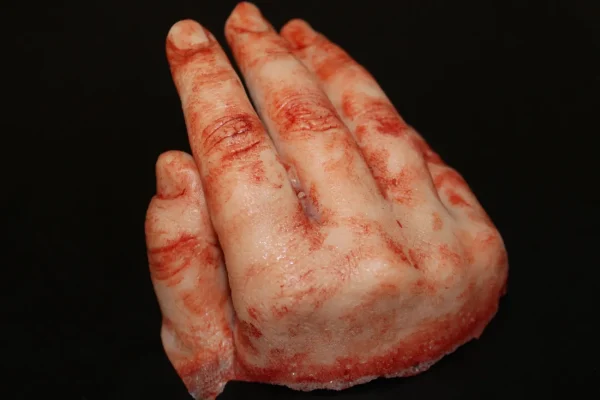 ForensicFX Studios Severed Half-Hand Prop> Halloween Accessories