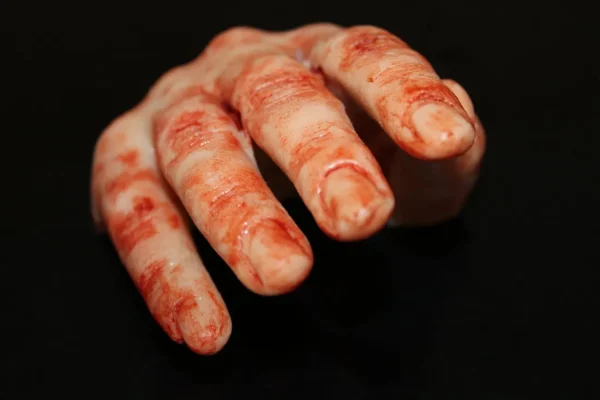 ForensicFX Studios Severed Half-Hand Prop> Halloween Accessories