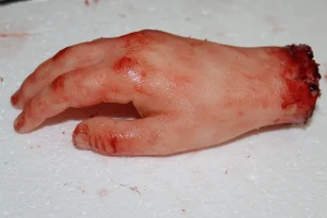ForensicFX Studios Severed Hand Prop> Halloween Accessories