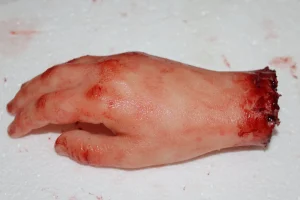 ForensicFX Studios Severed Hand Prop> Halloween Accessories