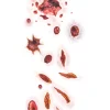 Tinsley Transfers Shot And Stabbed Fx Temporary Tattoos> Halloween Accessories