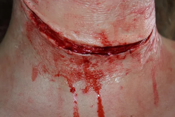ForensicFX Studios Simple Prosthetics Bundle> Halloween Accessories