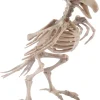 Fun World Skele-Bird 20Cm> Scary Skeletons