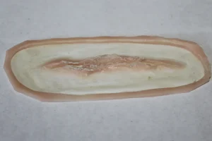 ForensicFX Studios Small Linear Gash Prosthetic> Halloween Accessories