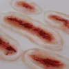ForensicFX Studios 5X Slashed Cuts Bundle> Halloween Accessories